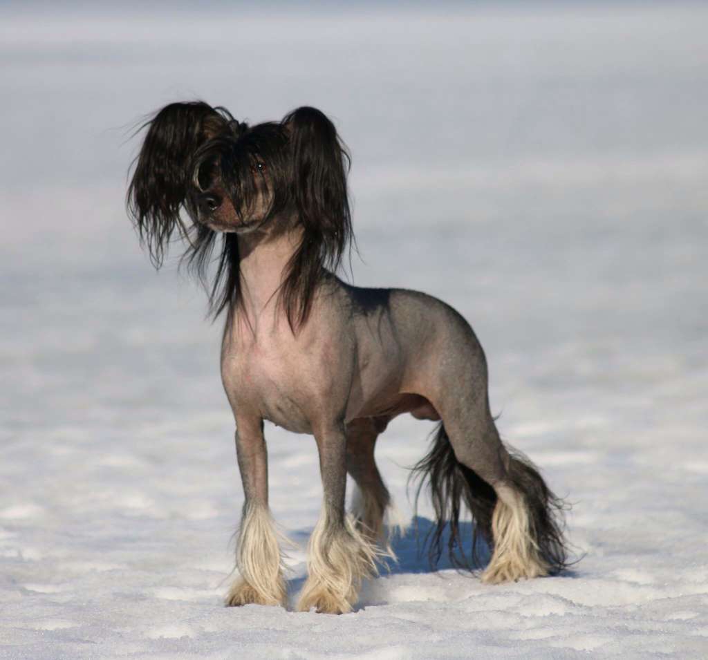 Valanyan Masterpiece