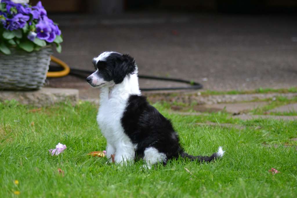 De La Mahafu's JP Oscar