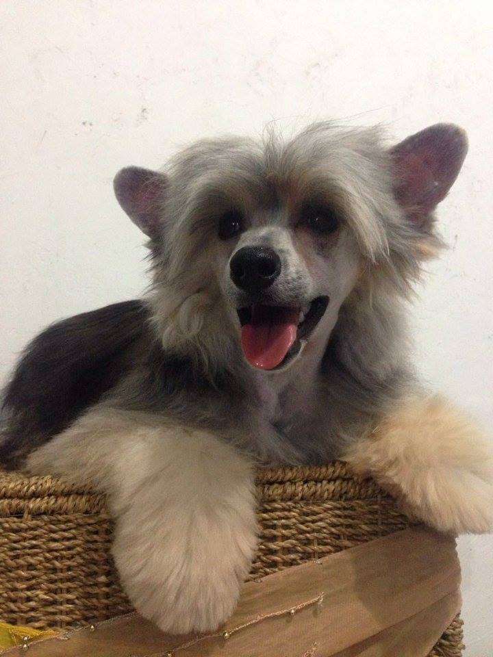 Macario (Ramírez) Mex.FCI.