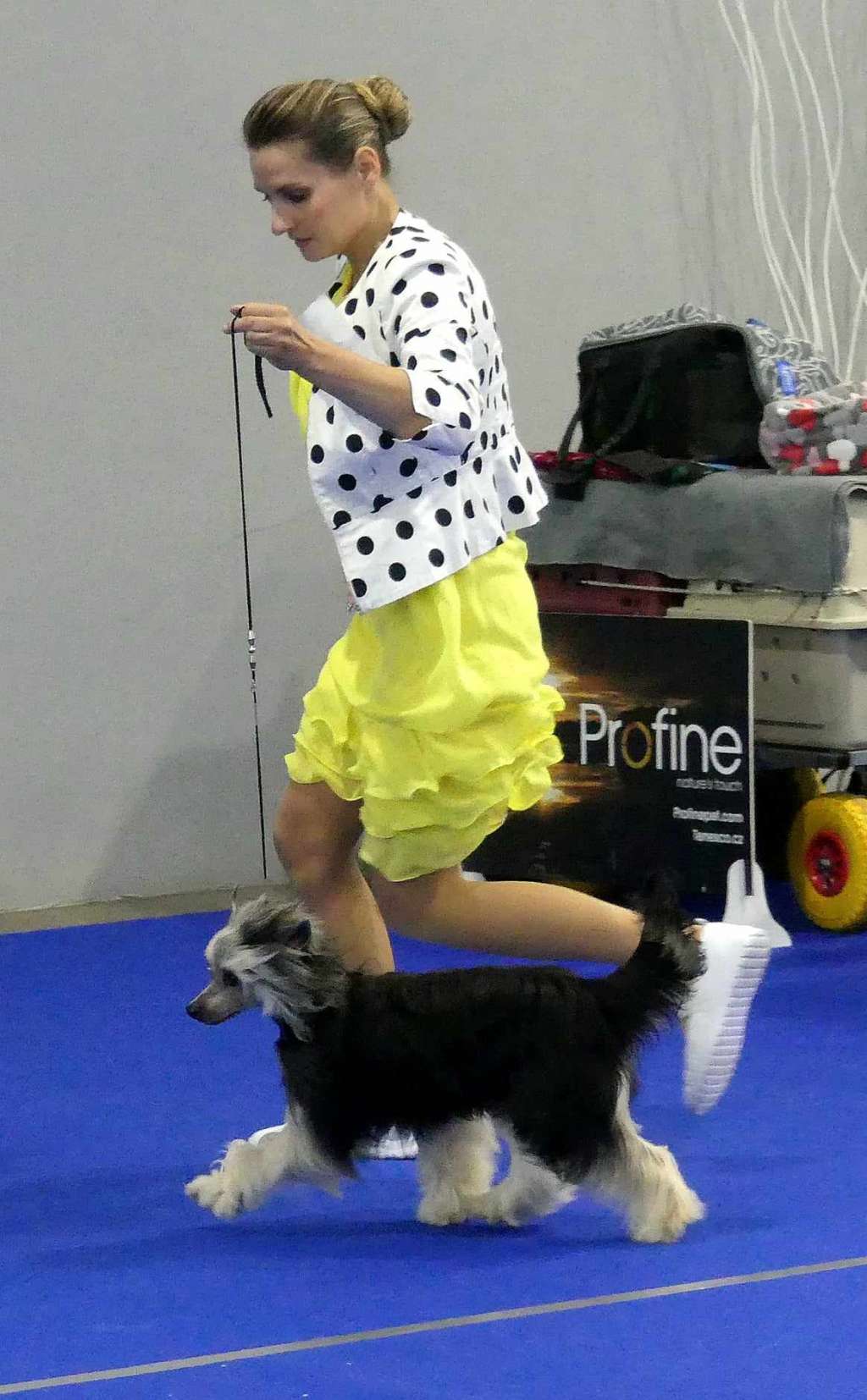 Picture