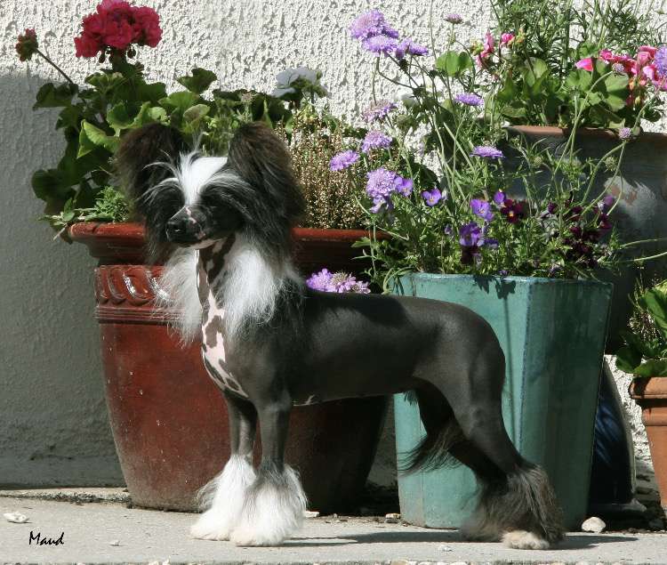 Vanitonia All Wrapped Up At Kaylen's