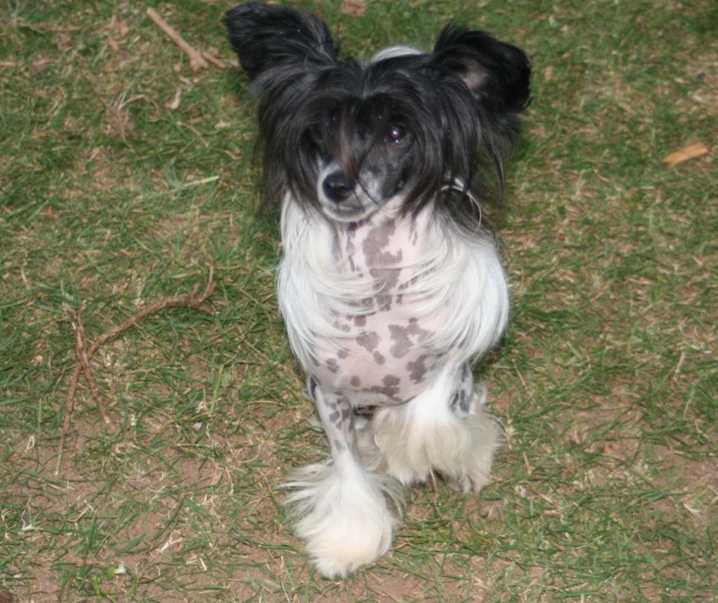 Liddyleaze Kkarma Sutra At Ankors