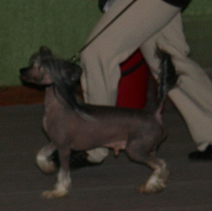 Picture