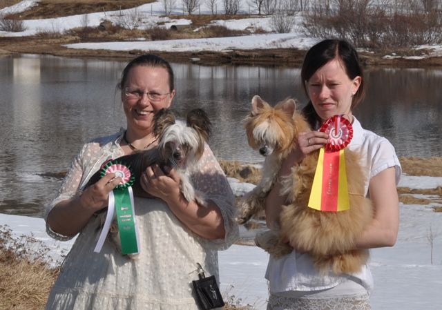 Artic Flyer's Heart Of Gold