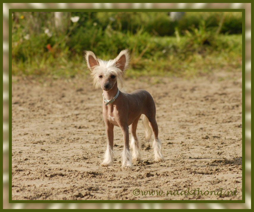 Cameron Diaz of Roxy's Pride