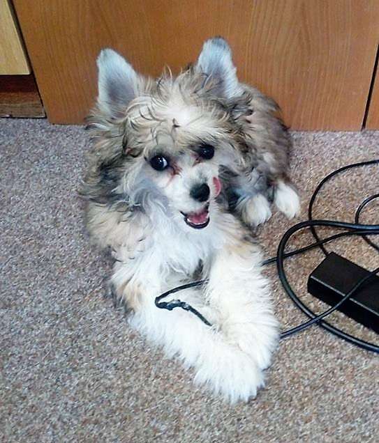 Brittany Becca Velura