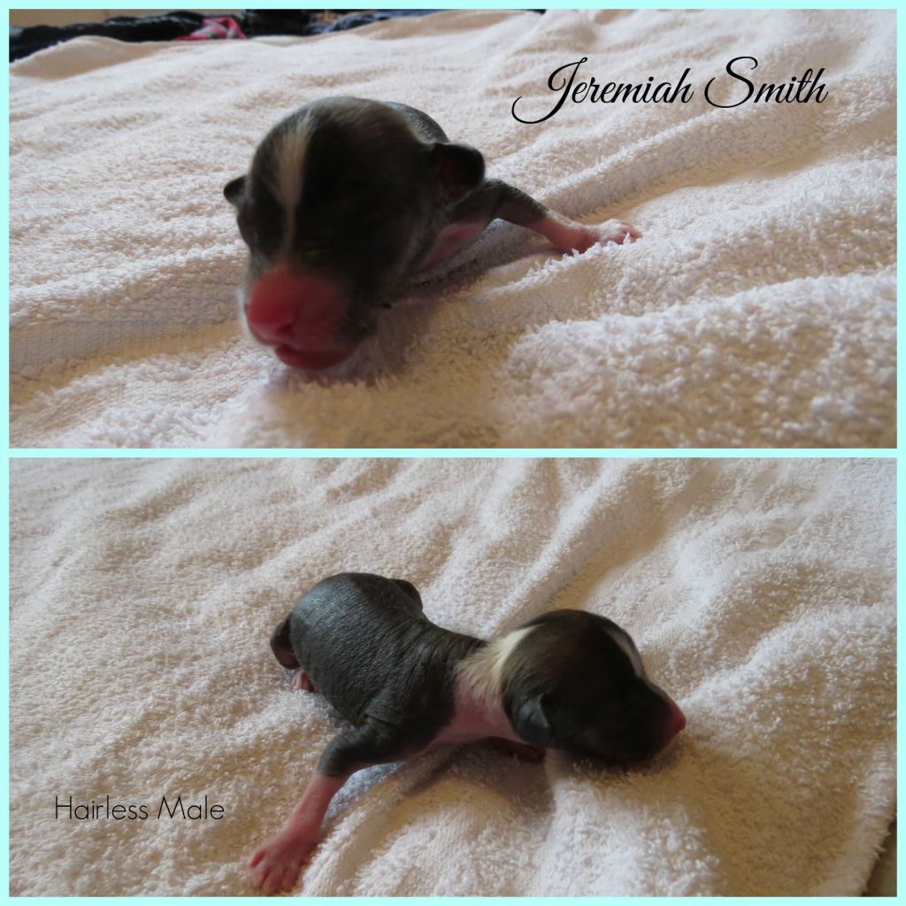 Jeremiah Smith of Circé's Shire