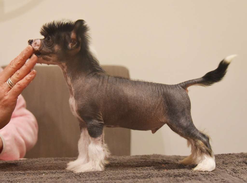 Picture