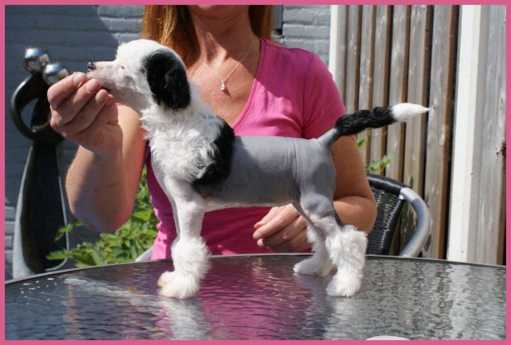 Arjana of Samira's Paradise