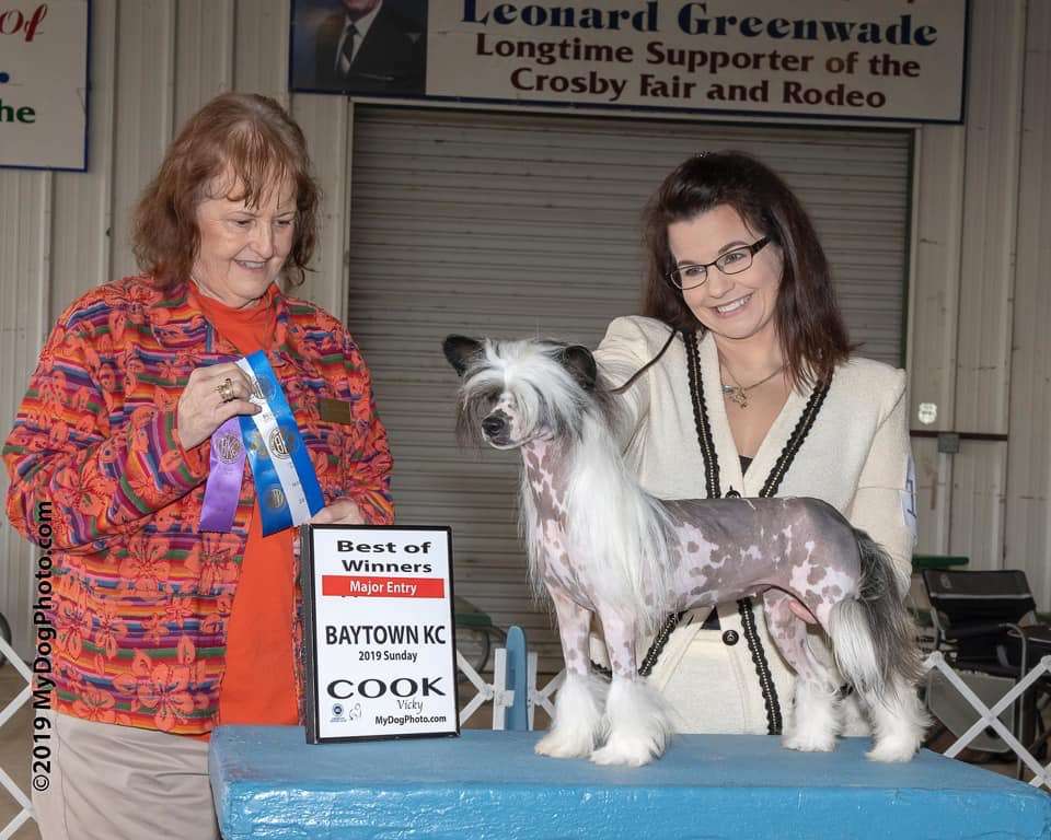 BPIS Dasha Kulana Can't Have Your Kate and Edith T