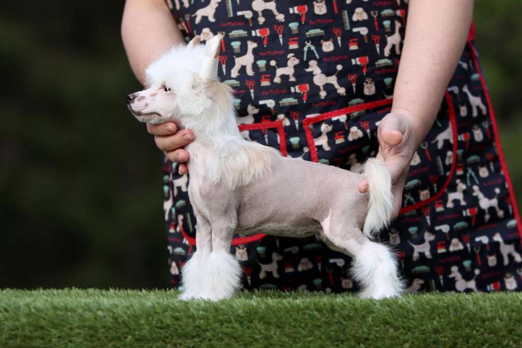 Incanto Del Mondo Bounty