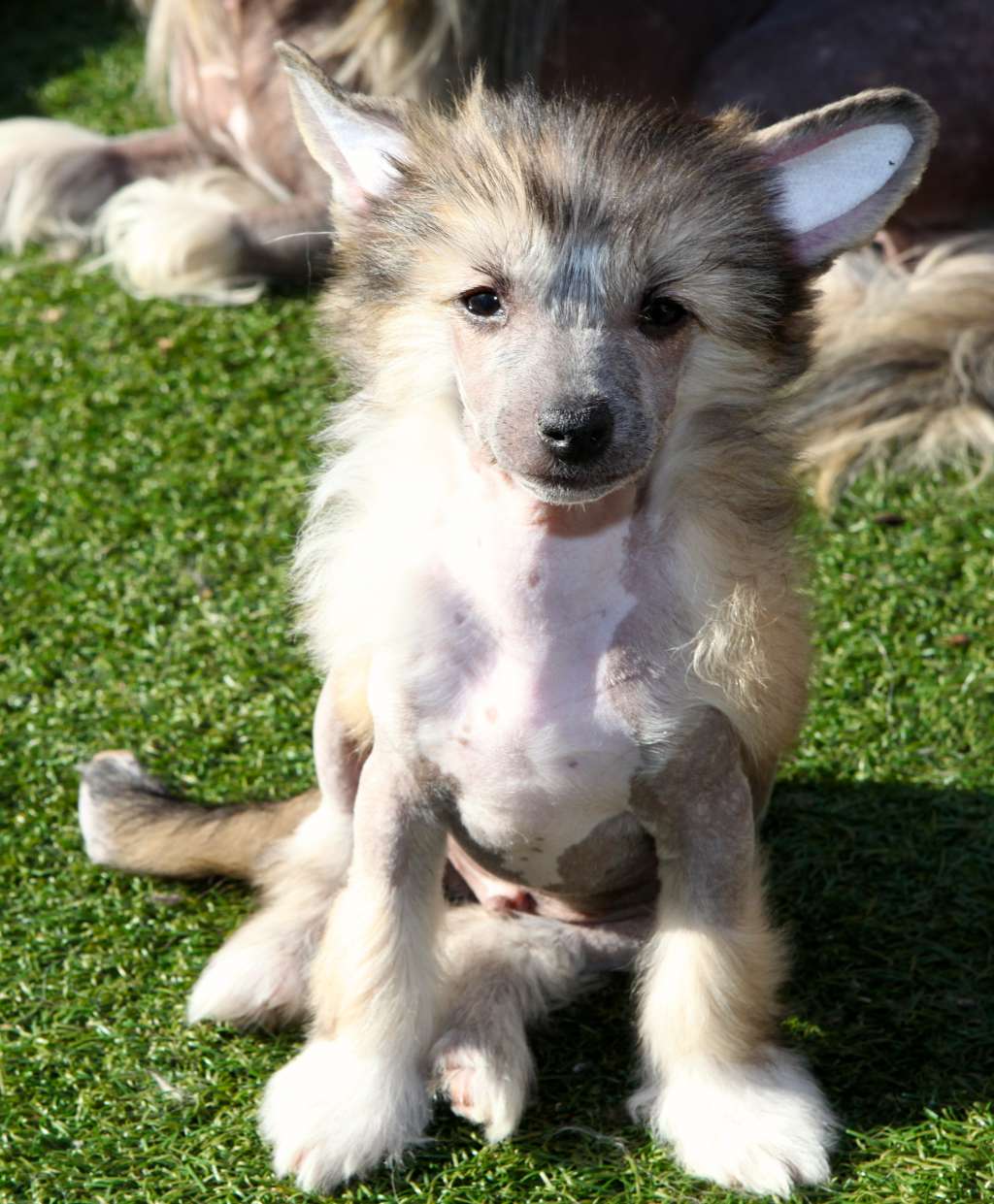 Nakai From China with love