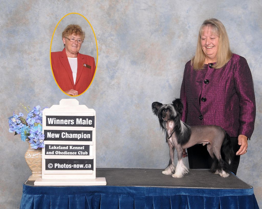 Yorkhouse Reminton Steele