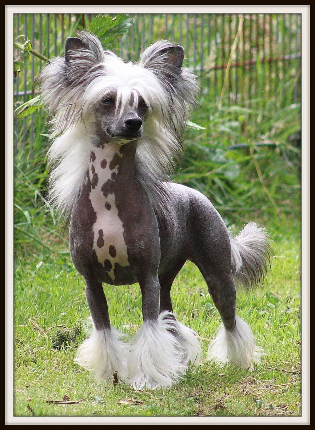 Someone Like You du Pavé de Varennes