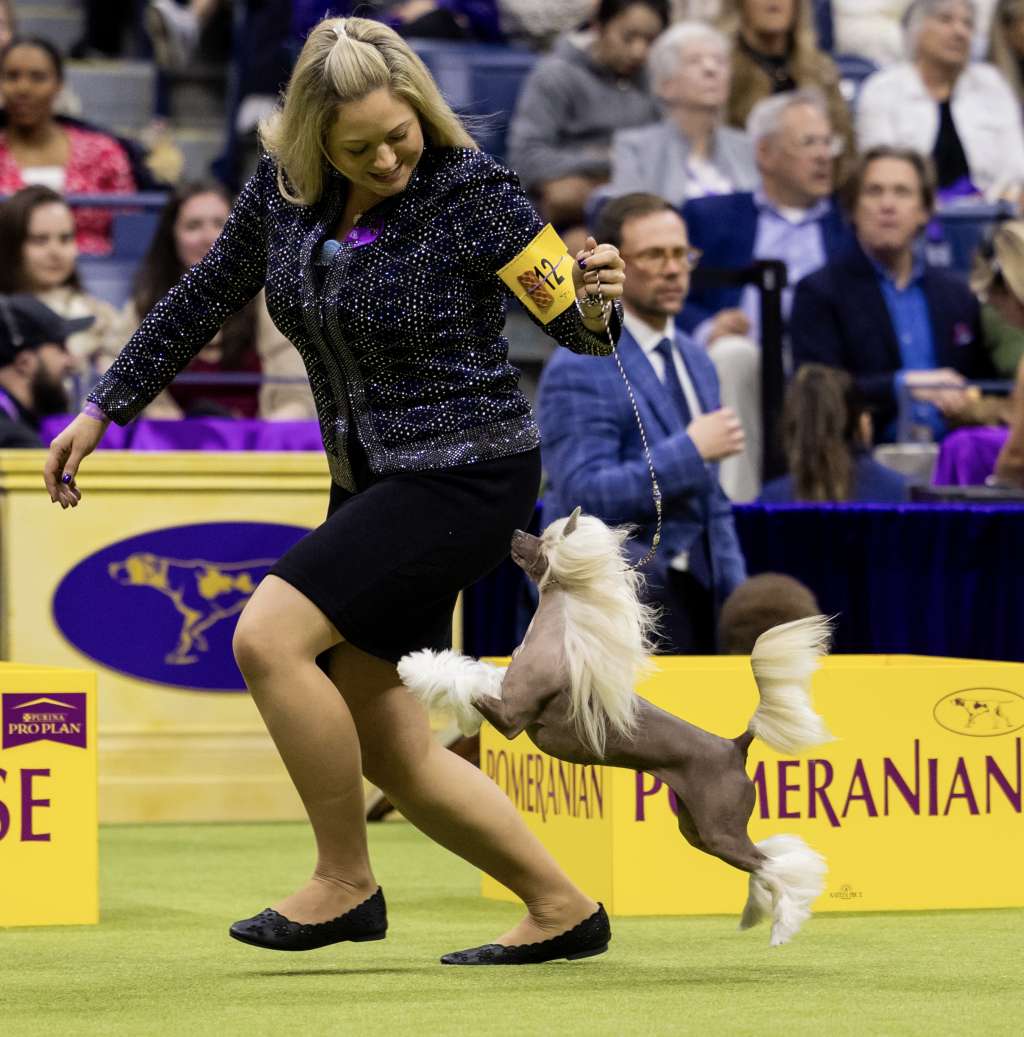 Gracieux Shes A Wildflower