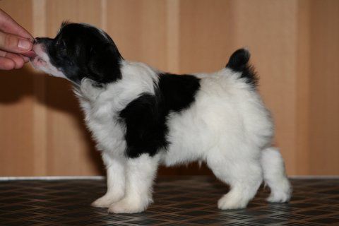 Chattanooga's That's Me