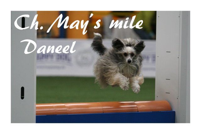 May's mile Daneel