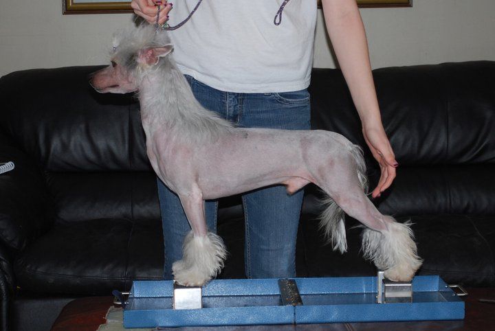 Azzana Hot Summer Nights