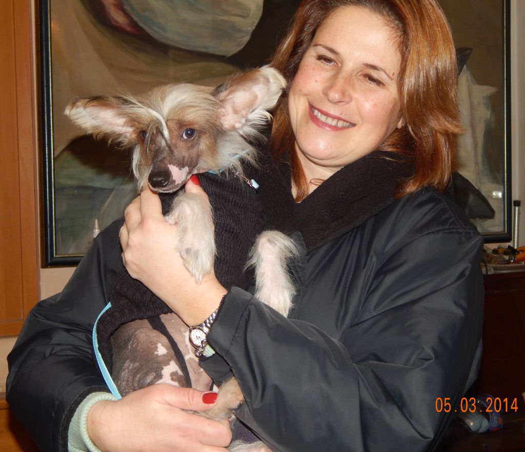 Ultor Tener Mali Zmaj