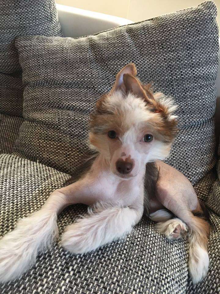 Jekadi's Bloodmoon Napapijri