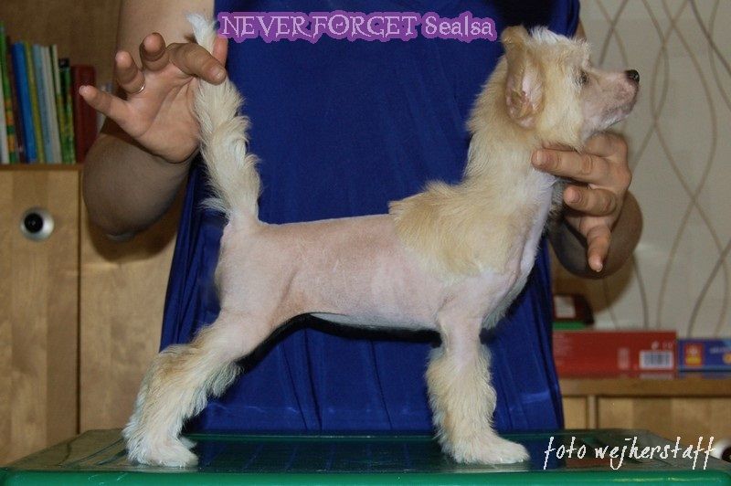 Never Forget Jakard Wejherstaff