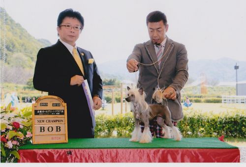 Mayu Treasures Jp Jupiter Fill-In