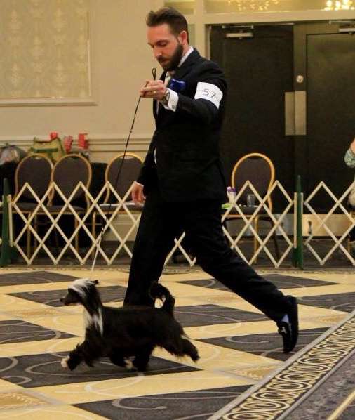 Cristall-MyAngel Cause I'm Happy