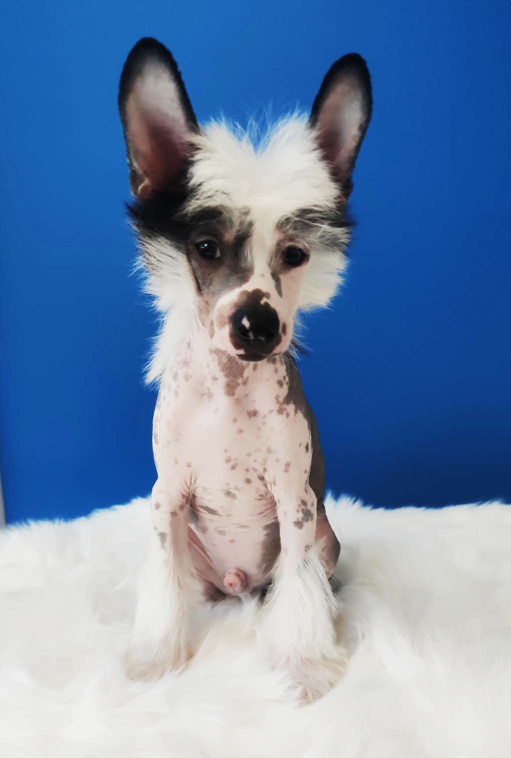 Klondike Crystal Ice