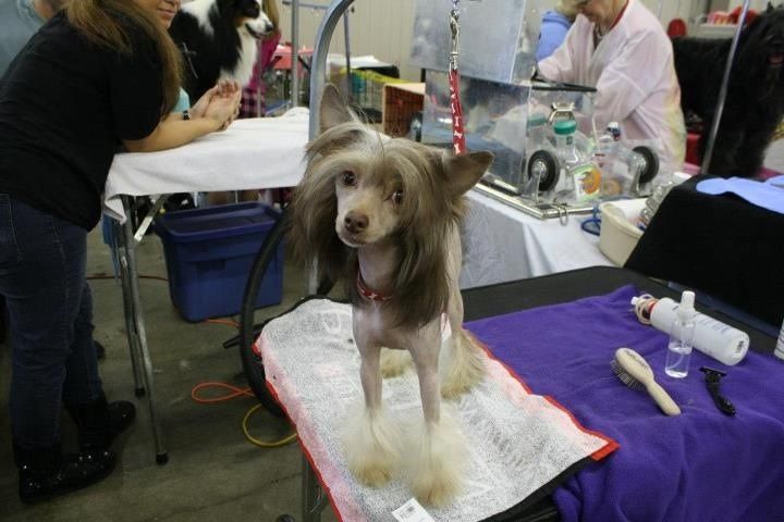 Jewels Annie Get Your Gun