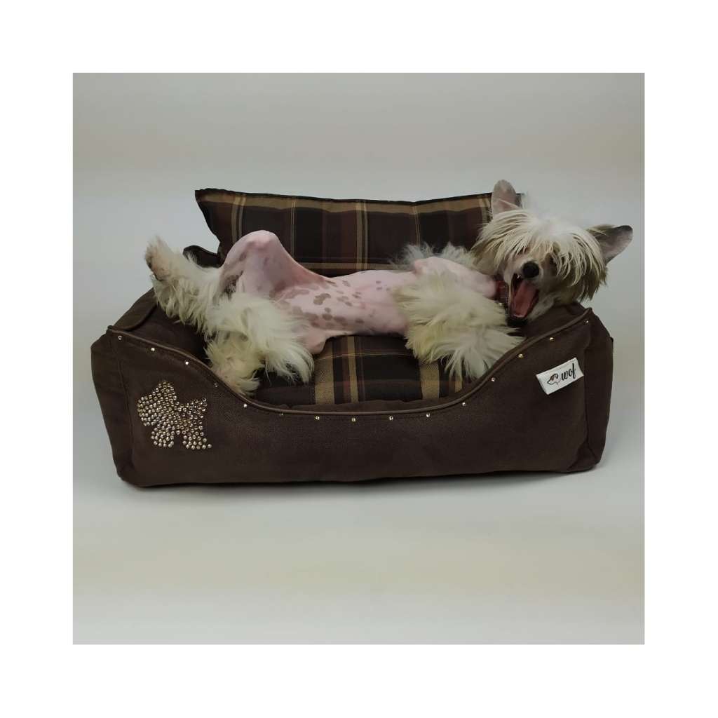 Magnus Staff Delightful & Chic