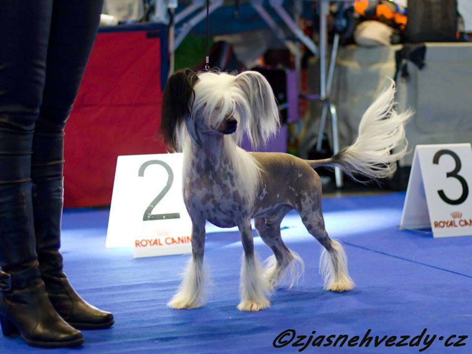 Ypsilon Andromedae Avokaduh