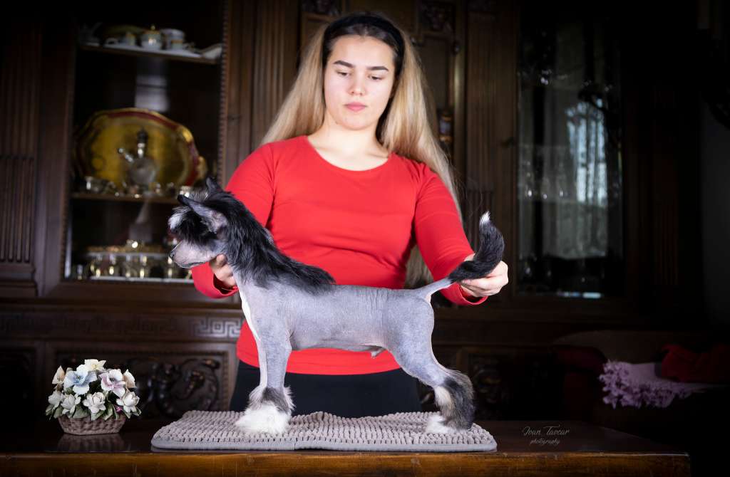 Stars at Sea Winter Solstice