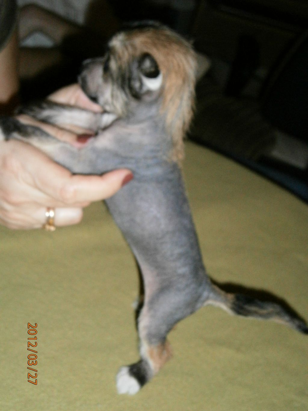 Picture