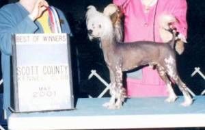 Tapscott's Gummy Bare