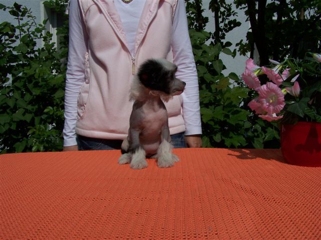 Picture