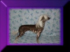 Chinkie Yen Ms Monroe