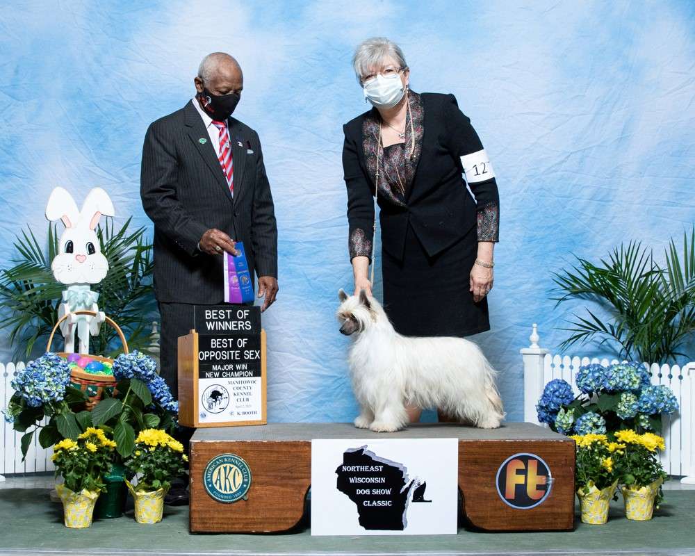 Windsong's Love in Portofino