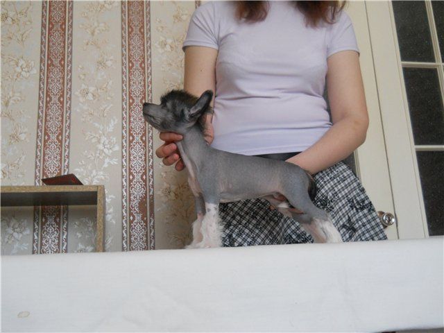 Picture