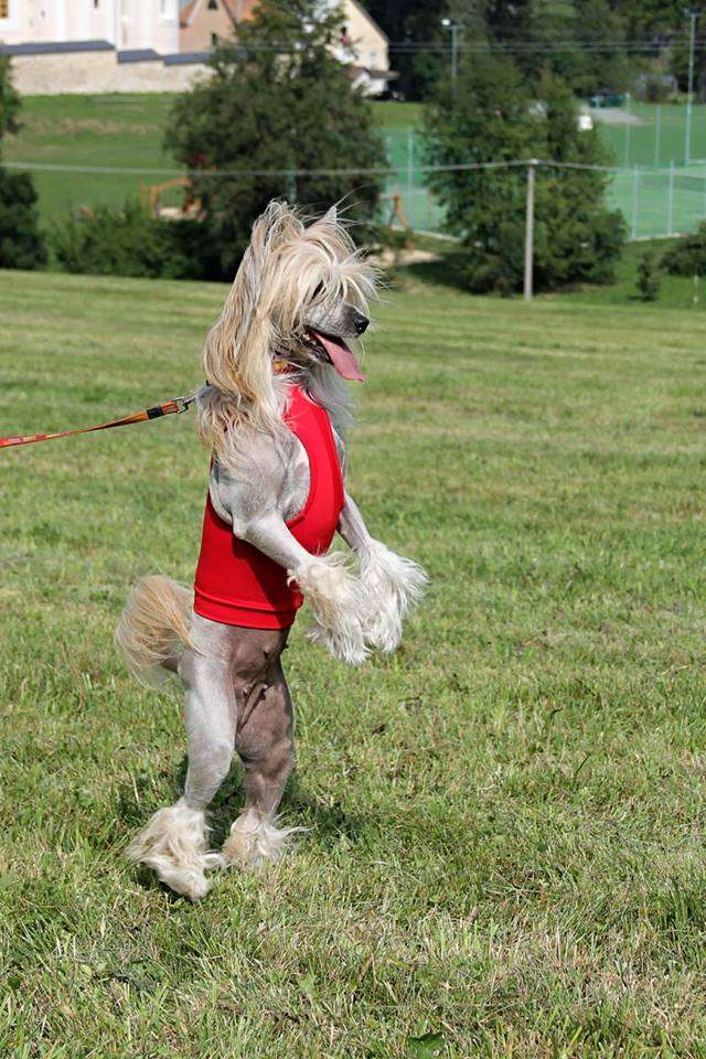 Cassandra Clary Aldrigen