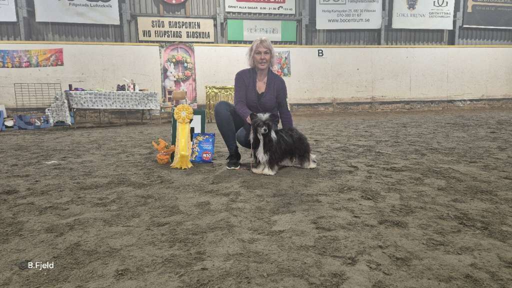 Av Da mia Cuccia Sheridana