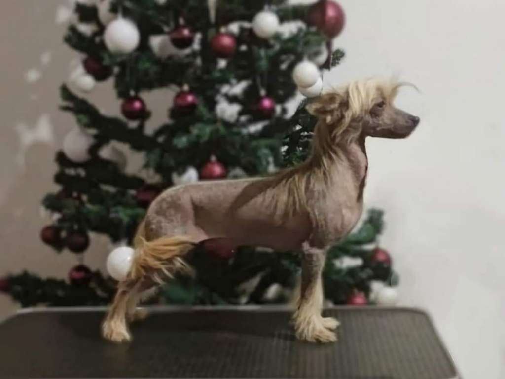 Just for me Laminacka