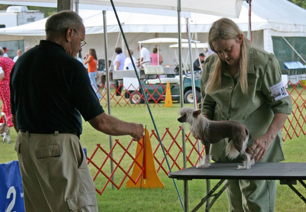 Unicorn You Were Always On My Mind HL