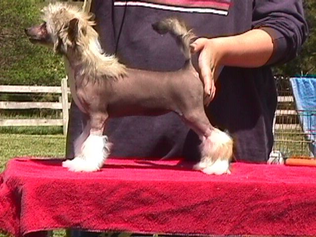 Whispering Ln' Pardon Me Boys