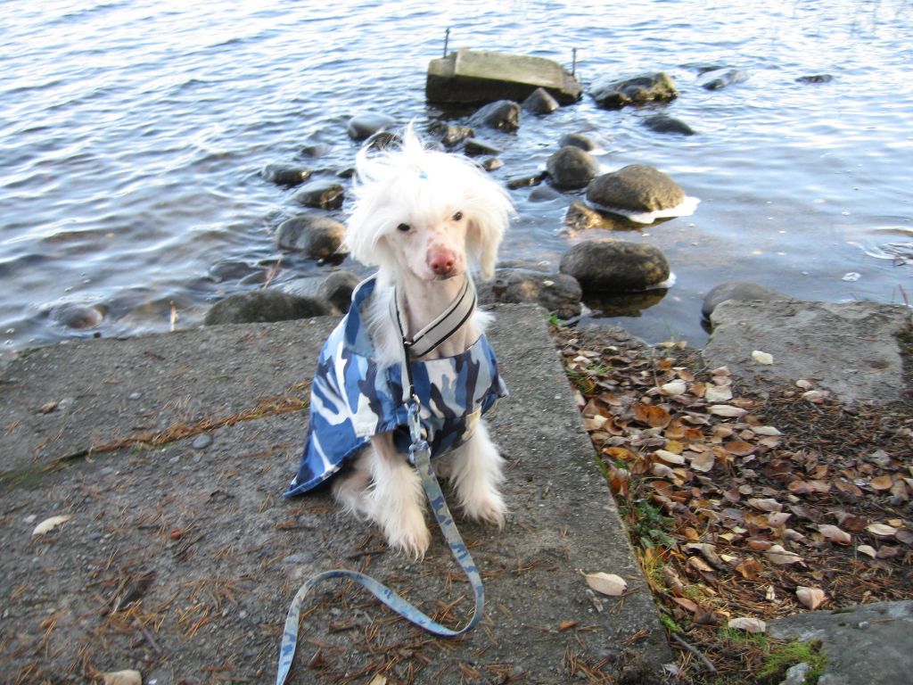 Spoylerz Gihzén Af Polar