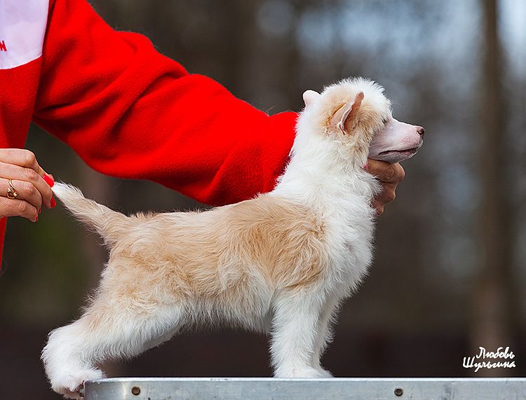 My Vanity Fair Ultra Sweet