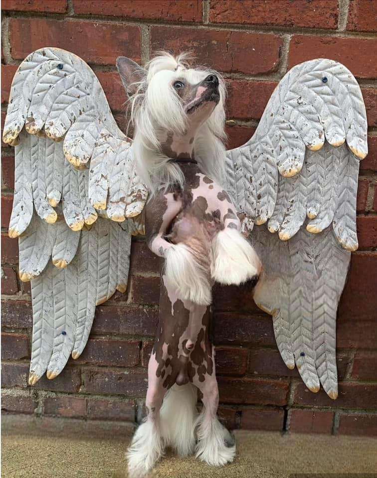 Taja Bring On The Neon