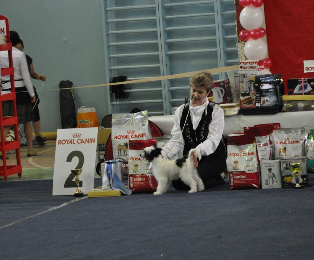 Armani Sharm  Isabelle Infinity Love