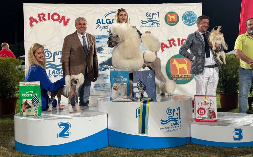 Bláthnat De Sothis ,