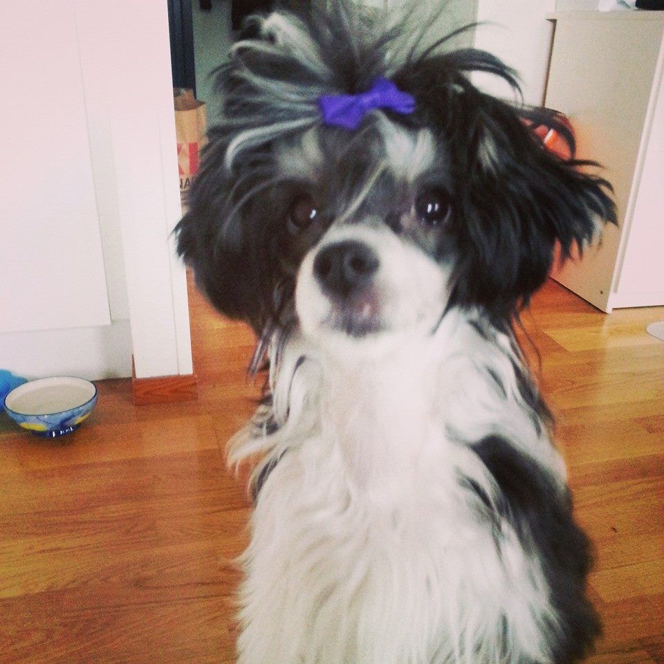 MhaLhi's Hazel Heartbreaker