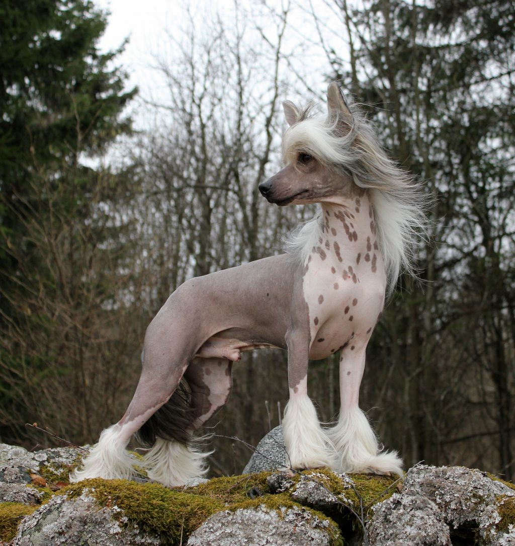 Blendverk's Connecting Peolpe